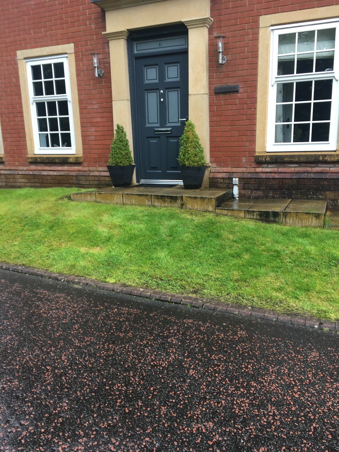 Front entrance planting with box hedging