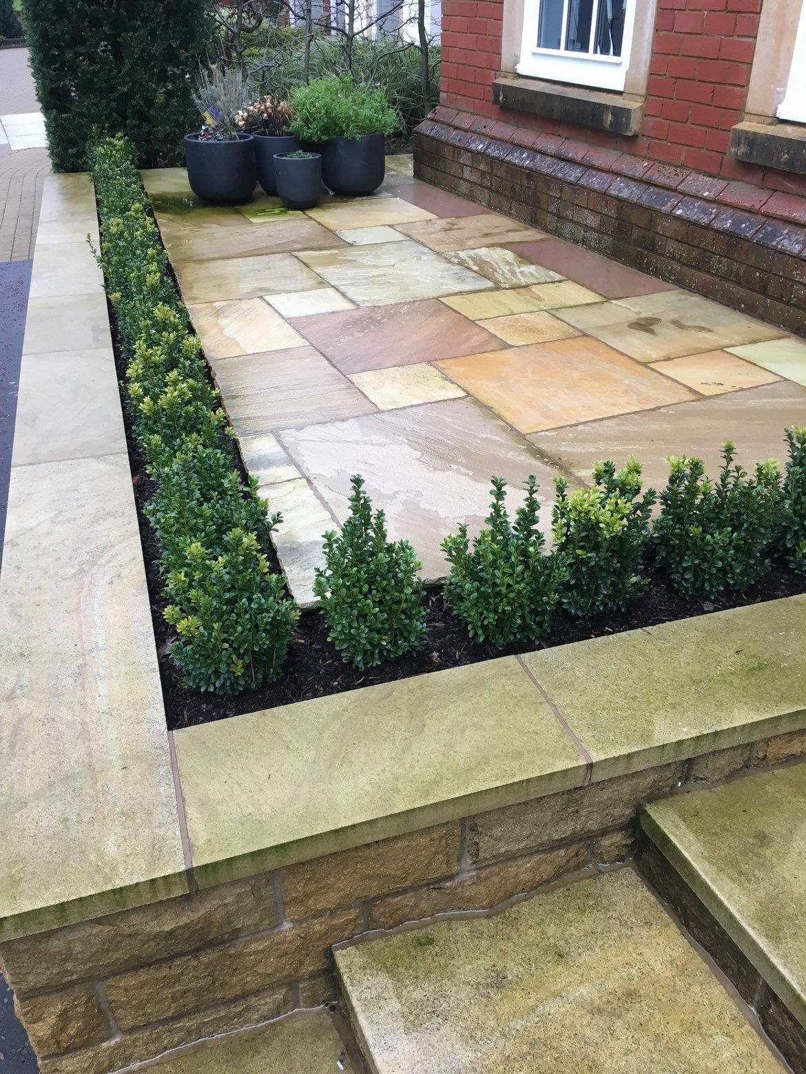Sandstone patio and steps with box hedge border