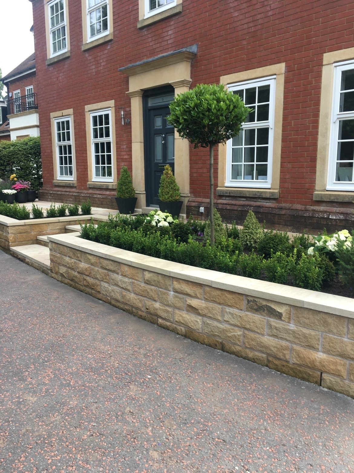 Raised planting bed with ornamental tree and box hedging